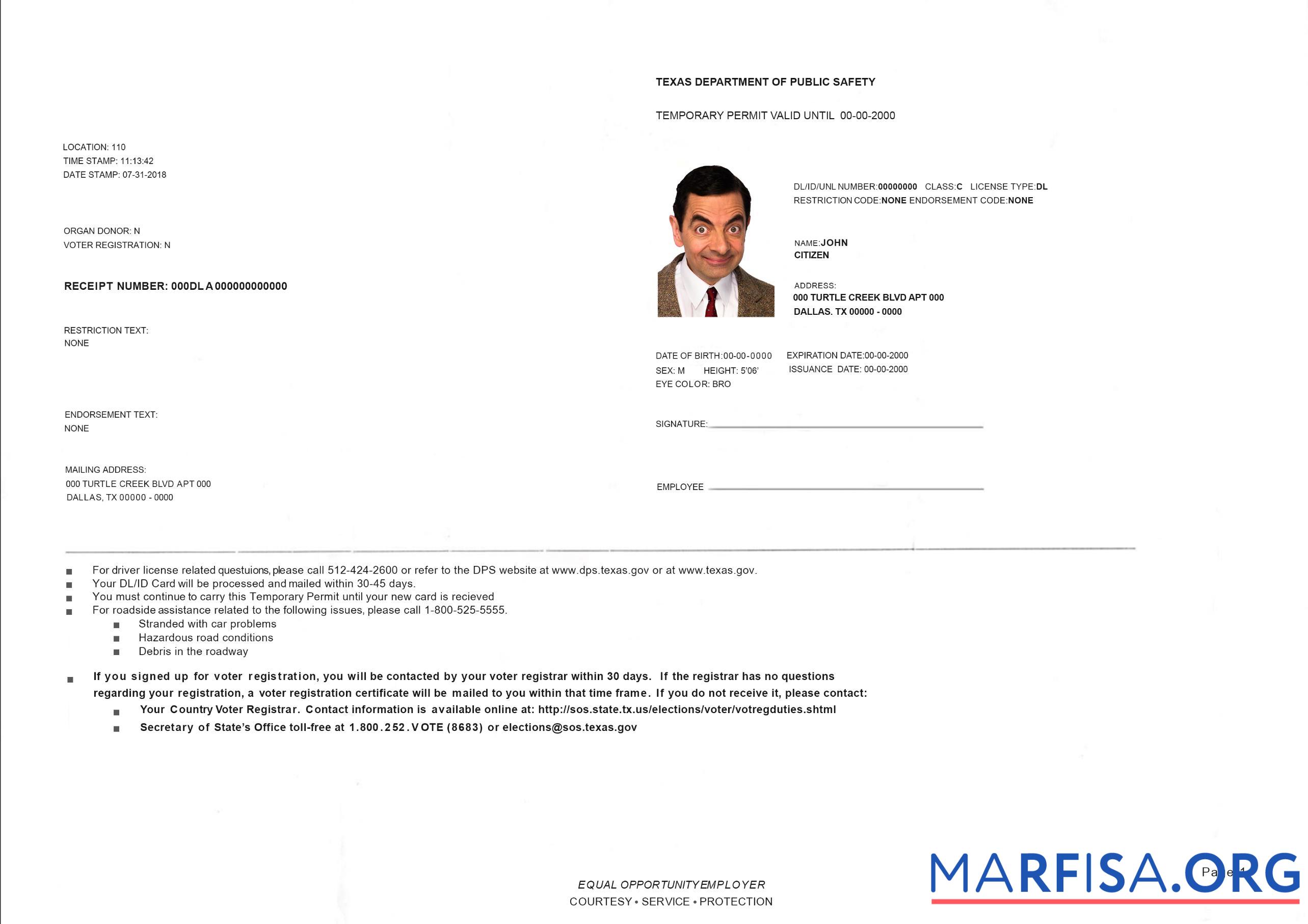 Printable USA Texas temporary driving permit sample